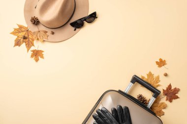 Sonbahar seyahati ilham kaynağı. Gri bavul, akçaağaç yaprakları, keçeli şapka, siyah güneş gözlüğü ve eldivenler, bej izole arkaplan üzerine yerleştirilmiş, tanıtım içeriği veya metin için boşluk sağlıyor