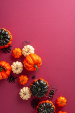 Cadılar Bayramı titreşimlerini başlat. Tematik düzenlemenin yukarıdan aşağıya dikey görüntüsü: balkabakları, tüyler ürpertici örümcekler, kıpkırmızı zemindeki örümcek ağı. Metin veya reklam için boşluk