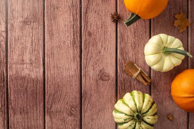Sonbaharın cazibesine tepeden tırnağa bir bakış. Olgun balkabakları, baharatlar ve mevsimsel özellikler özünü yakalamak için metin veya reklamlar için fotokopi alanı sunan kahverengi izole bir arkaplan zarafeti sunar