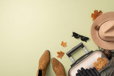 Kadınsı bir sonbahar macerası. Üzerinde keçeli şapka, kedi gözlü güneş gözlüğü, ekose atkı, batılı botlar, eldivenler, bavul, akçaağaç yaprakları ve açık yeşil arka planda çam kozalakları bulunan üstteki fotoğraf.