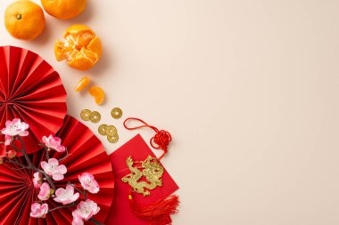 Çin Yeni Yıl Refah Teması. Üst düzey dekoratif yelpazeler, sembolik madeni paralar, ejderha duvarı asılı, kırmızı zarflar, tarafsız arkaplanda düzenlenmiş mandalinalar, metin alanı ile uğurlu bir ortam yaratıyorlar.