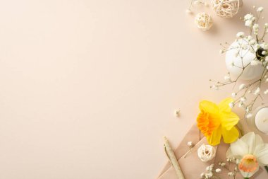Yeni başlangıçların mevsimini yürekten bir bahar selamıyla kutlayın. Üst görünüm resmi bej izole arkaplan üzerinde narcissus, gypthe ve zarf gösterir, reklamlar veya metin için mükemmeldir