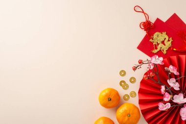 Görsel çekiciliğiyle Çin Yeni Yılı 'na hoş geldiniz. Yelpazenin üst görüntüsü, Feng Shui ögeleri, geleneksel madeni paralar, beyaz üzerine dekoratif elementler, kutlama mesajı için alan