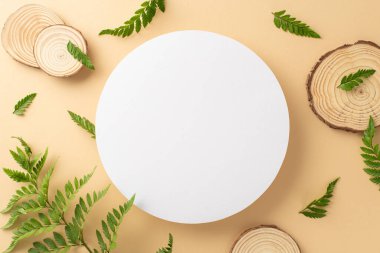 Doğal botanik tasarımı. Eğreltiotu yaprakları ve ahşap ile çevrili boş çemberin yukarıda fotokopi alanı ile izole edilmiş bej arkaplan üzerinde duran fotoğrafı