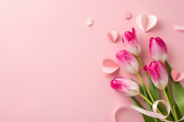 Lalelerdeki aşk: Güzel üst görünüm kompozisyonu, canlı lale demeti, ipek kurdele ve yumuşak pembe yüzeyde kalp şeklinde süsler içeriyor. Şefkat göstermek ya da reklam mesajları eklemek için ideal.