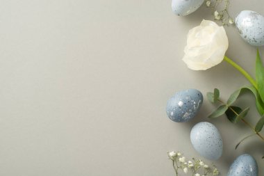 Bahar cazibesi: Genteel grafit yumurtalarının, alçıtaşının, beyazımsı lalelerin ve okaliptüsün pastel gri bir yüzeye saçılmış halinin üst görüntüsü.
