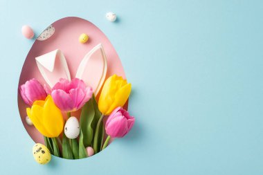 Yukardan bakıldığında neşeli Paskalya kompozisyonu yumurta benzeri boşluktan görülebilen sevimli tavşan kulaklarını, renkli laleler ve gökyüzü mavisi tuval üzerinde desenli yumurtalarla çevrili, reklam için boş noktayı vurguluyor.