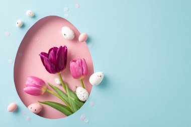 Yukardan çekilen Paskalya kompozisyonu canlı laleler ve paskalya yumurtaları yumuşak mavi bir arka planda pembe yumurta şeklinde bir delikten görülebiliyor. Mesaj veya reklam için yer bırakıyorlar.