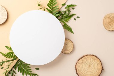 Doğa hassasiyeti kavramı. Okaliptüs dalları ile çevrili boş çemberin üst görünüm fotoğrafı ve iki tonlu izole pastel arka plan üzerinde parantez ve ahşap kaideler