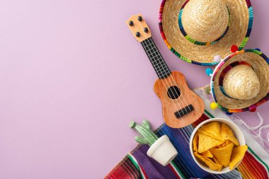 Cinco de Mayo konsepti. Karakteristik teçhizata sahip üst görünüm resmi: sombreros, yaylı vihuela, bir kaktüs, parlak bir serape, pastel mor bir alanda, metin için alan