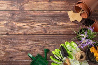 Bahçe işlerinin cazibesini kucakla. Üst görünüm, çiçek tohumu, bahçe aletleri ve desenli kahverengi arka planda tahta işaretler sunar. Metin veya reklam iletileri için ayrılmış alan