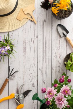 Bahçe bakımı konsepti, kasımpatı, kraker, güneş şapkası, sulama kutusu, tırmık, mala, bitki işaretleri gibi dikey üst görünüm içerir. Gelişen bir bahçe alanı için ihtiyacın olan her şey.