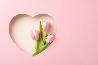 Zarif Anneler Günü üst görünüm düzenlemesi: canlı laleler pastel pembe çerçeveyi dikizliyor. Selamlama için mükemmel ya da metin için geniş alanı olan reklamlar