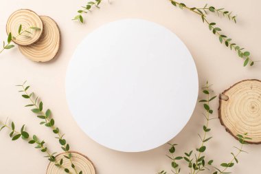 Doğa hassasiyeti kavramı. Okaliptüs dalları ve yuvarlak ahşap ile çevrili boş çemberin üst görünüm fotoğrafı izole edilmiş pastel arka planda duruyor.