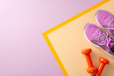 Spor salonu gereksinimleri konsepti. Kadın spor ayakkabıları, dambıllar ve pastel mor arka plan üzerinde metin ya da reklam için boşluk olan üst görünüm