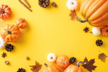 Sarı arka planda balkabakları, yapraklar ve kozalaklar renklendiriliyor. Sonbahar mevsimini kutluyorlar.