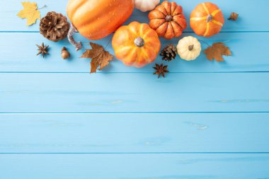 Sonbahar dekorasyonu için mavi ahşap bir yüzeye yerleştirilmiş çeşitli kabak, yaprak ve kozalak manzarası