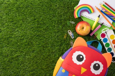 Renkli okul malzemelerinin en üst görüntüsü, baykuş sırt çantası, pastel boya kalemleri ve yeşil çimlerin üzerindeki defter de dahil.