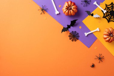 Cadılar Bayramı arka planında turuncu ve mor arka planda balkabakları, yarasalar, kemikler ve örümcekler yer alıyor. Mevsimlik reklamlar ve şenlikli kart tasarımları için mükemmel.