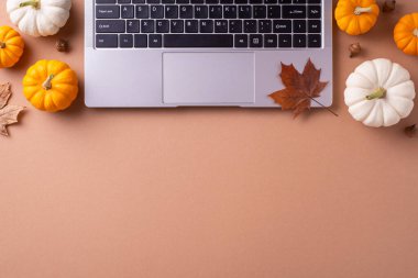 Konforlu bir sonbahar temalı çalışma alanı dizüstü bilgisayar, küçük beyaz ve turuncu balkabakları ve kahverengi bir masaüstü yüzeyi üzerinde kahverengi bir yaprak.