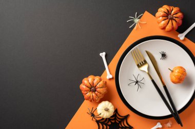 Balkabakları, örümcekler, kemikler ve turuncu arka planda bir yer.