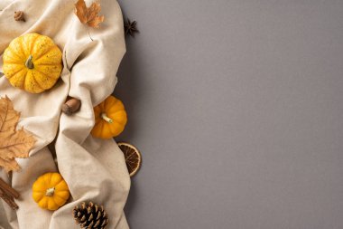 Bej kumaş üzerinde küçük balkabakları, yapraklar ve doğal elementlerin yer aldığı samimi bir sonbahar sahnesi. Hasat, Şükran Günü ve sonbahar temaları için mükemmel.