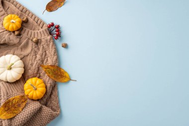 Hafif bir arka planda örülmüş bir süveter, mini balkabakları, meşe palamutları ve renkli yaprakların yer aldığı sıcacık bir sonbahar sahnesi sıcaklık ve düşüş titreşimlerini çağrıştırıyor.