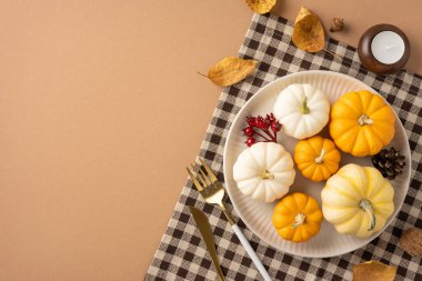 Küçük balkabaklarının, sonbahar yapraklarının ve düşüşün ve kutlamaların özünü temsil eden kareli kumaşın yer aldığı bir Şükran Günü sofrası manzarası.