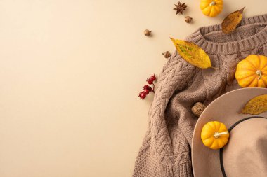 Düz bir örgü süveter, şık bir şapka, küçük balkabakları ve sonbahar yaprakları, sıcacık bir mevsim hissi uyandıran