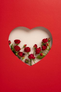 Kağıt bir kalbin içine yerleştirilmiş kırmızı güller içeren dikey romantik bir resim. Sevgililer Günü, yıldönümleri gibi durumlar için mükemmel.
