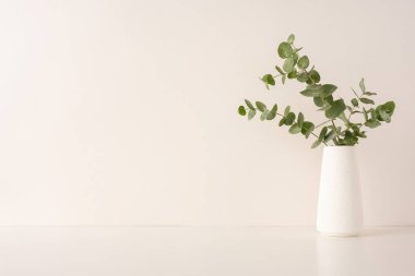 Okaliptüs dalları, nötr arkaplanı olan minimalist beyaz bir vazoda dizilmiş. Bu basit kompozisyon, sakin ve sofistike bir hava yayıyor.