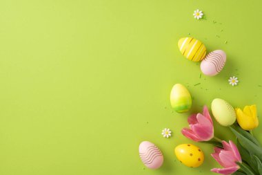 Süslü Paskalya yumurtaları ve bahar çiçekleri tatil ruhunu taşıyan yeşil bir yüzeye yerleştirilmiş.