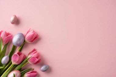Pembe laleler ve benekli Paskalya yumurtaları yumuşak pembe arka planda yaratıcı bir şekilde düzenlenmiştir.