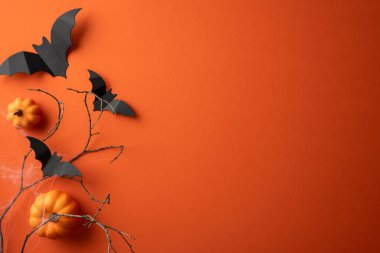 Turuncu arka planda siyah kağıt yarasalar, balkabakları ve çıplak dalların yer aldığı bayram temalı bir düzenleme. Ürkütücü bir kutlama ve mevsimsel cazibe hissi uyandırıyor.