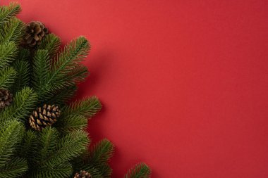 Noel neşesini sembolize eden dekoratif çam dalları ve koniler, kırmızı bir zemine yaslanırlar.