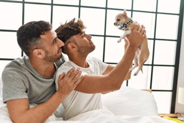 İki İspanyol erkek yatak odasında Chihuahua ile yatakta birbirlerine sarılıyorlar.