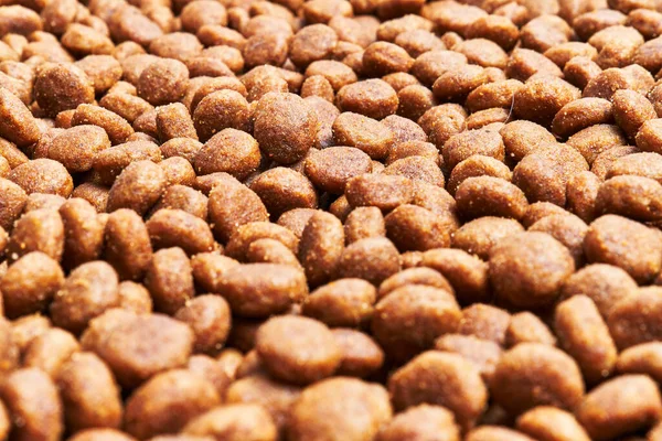 Delicious Group Dog Food Balls Texture — Stock Photo, Image