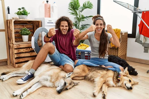 Junges Hispanisches Paar Das Mit Hunden Wäsche Wäscht Und Wütend — Stockfoto