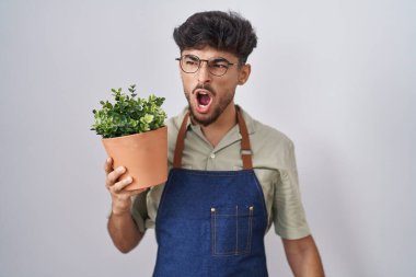 Arab man with beard holding green plant pot angry and mad screaming frustrated and furious, shouting with anger. rage and aggressive concept. 