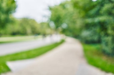 Park arka plan bulanık 