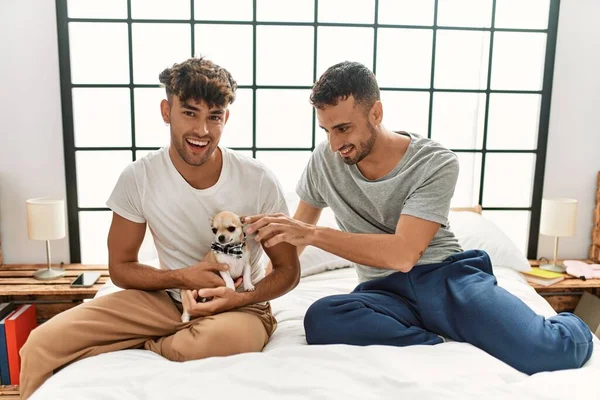 Twee Spaanse Mannen Paar Zitten Bed Met Chihuahua Slaapkamer — Stockfoto