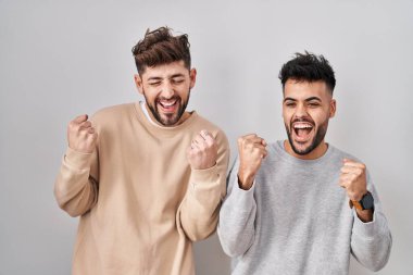 Young homosexual couple standing over white background very happy and excited doing winner gesture with arms raised, smiling and screaming for success. celebration concept. 