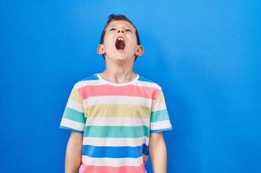 Kafkasyalı genç, mavi arka planda öfkeli ve kızgın bir şekilde bağırıyor öfkeyle bağırıyor. öfke ve agresif konsept. 