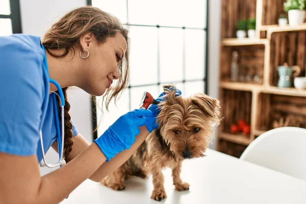 Young Beautiful Hispanic Woman Veterinarian Examining Dog Otoscope Home — ストック写真