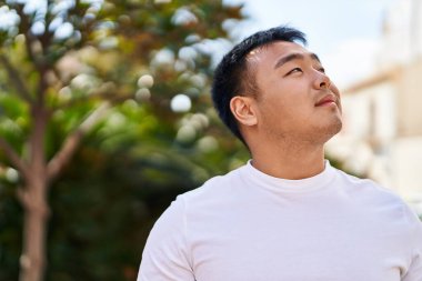 Young chinese man smiling confident looking to the sky at park