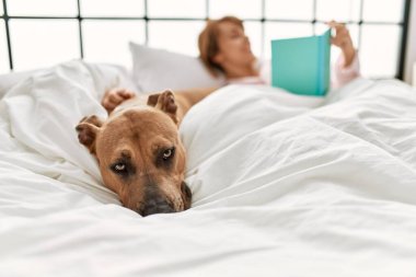 Beyaz kadın kitap okuyor. Yatak odasında köpekle yatakta yatıyor.