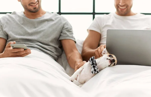 Two Hispanic Men Couple Using Laptop Smartphone Sitting Bed Chihuahua — Stok fotoğraf