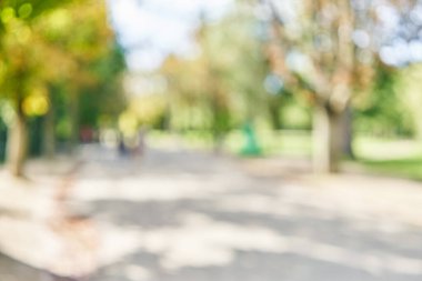 Park arka plan bulanık 