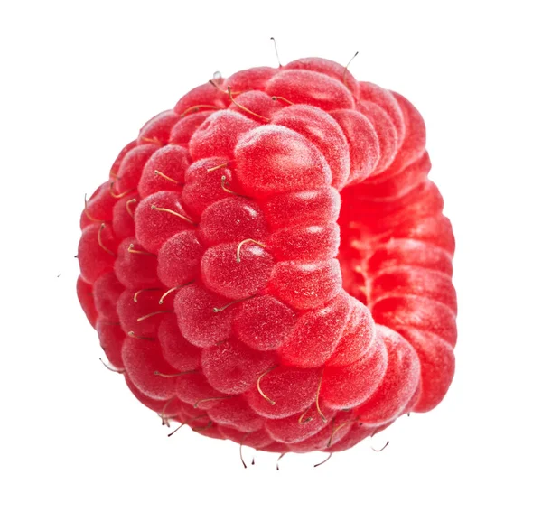 Delicious Single Raspberry Isolated White Background — Stock Photo, Image