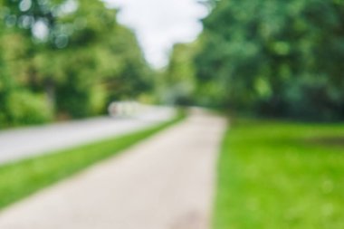 Park arka plan bulanık 